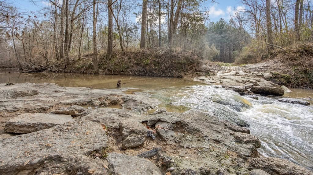 70 Acres Hunting Land Bordering Homochitto National Forest