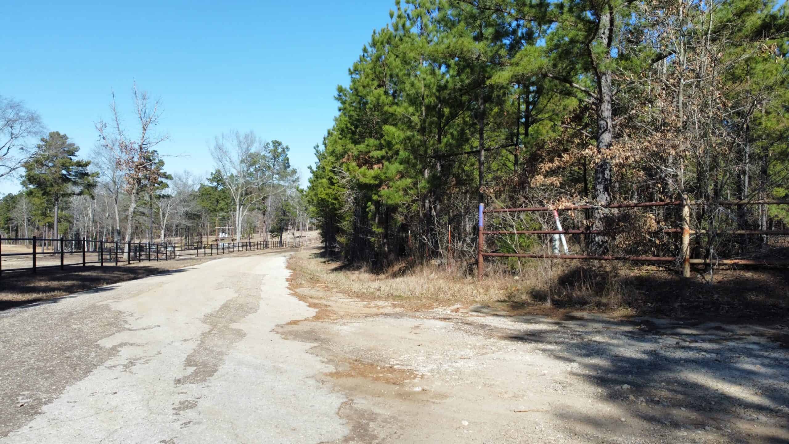 East TX Hunting Land Near Overton TX Rusk County