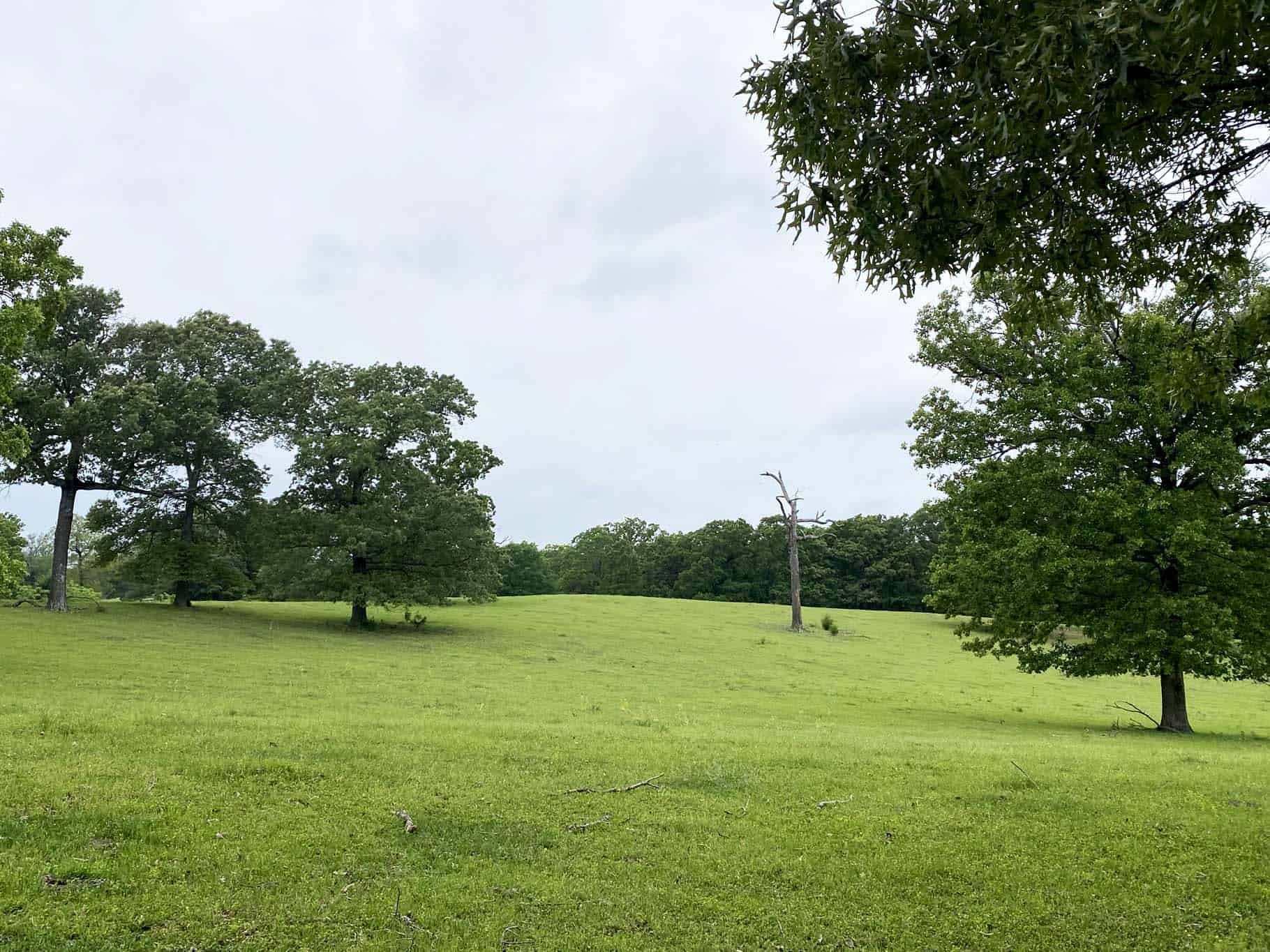 Lindale Texas Recreational Ranch Land for Sale East of Dallas