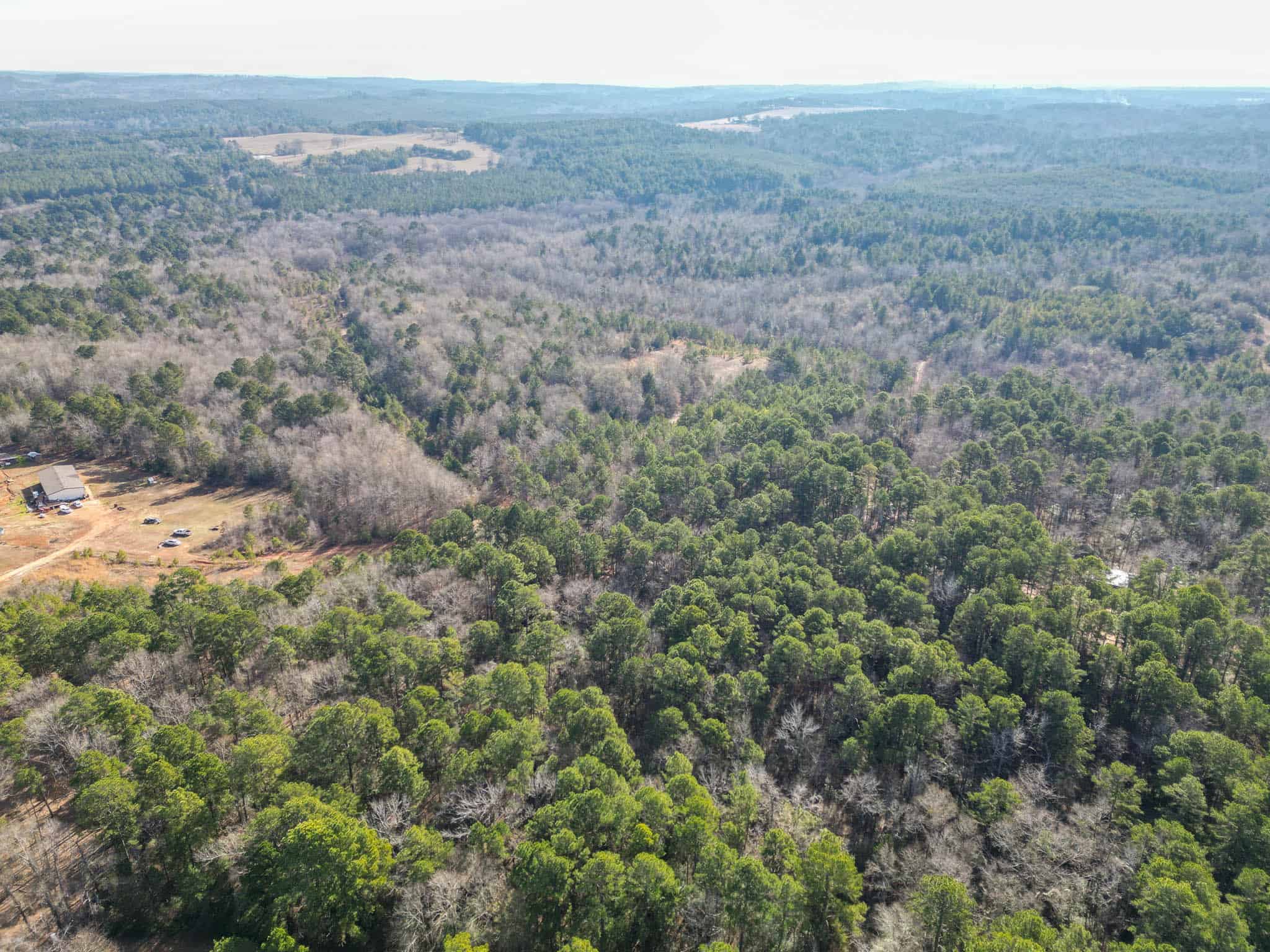 Harrison County, TX Whitetail Paradise