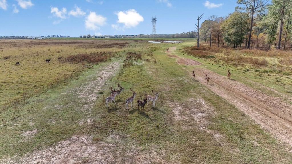 High Fence Hunting, 3 Lodges, 6 Cabins, Acadia Parish, LA