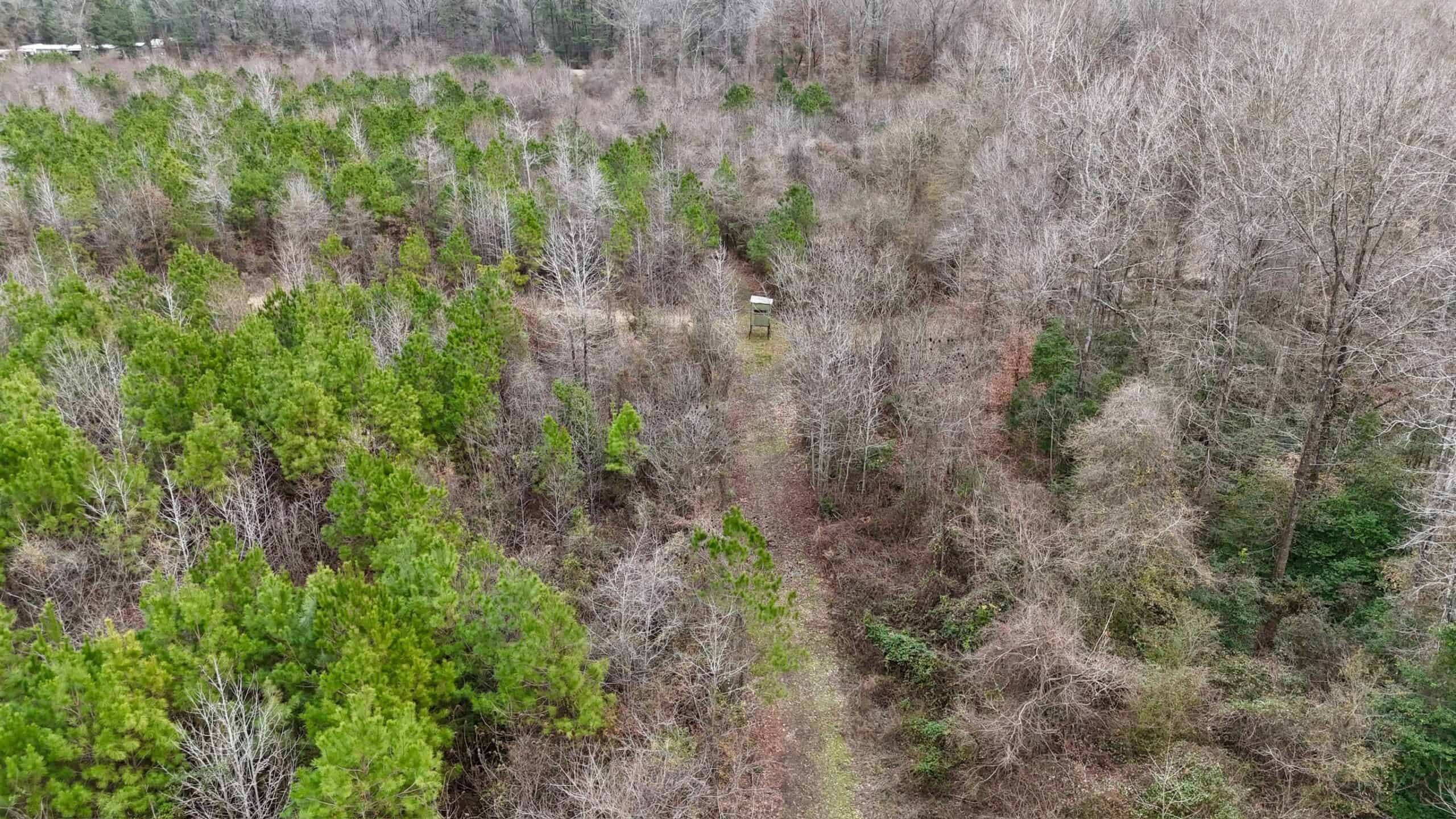 Hunting Property with a Camp and a Great Homesite