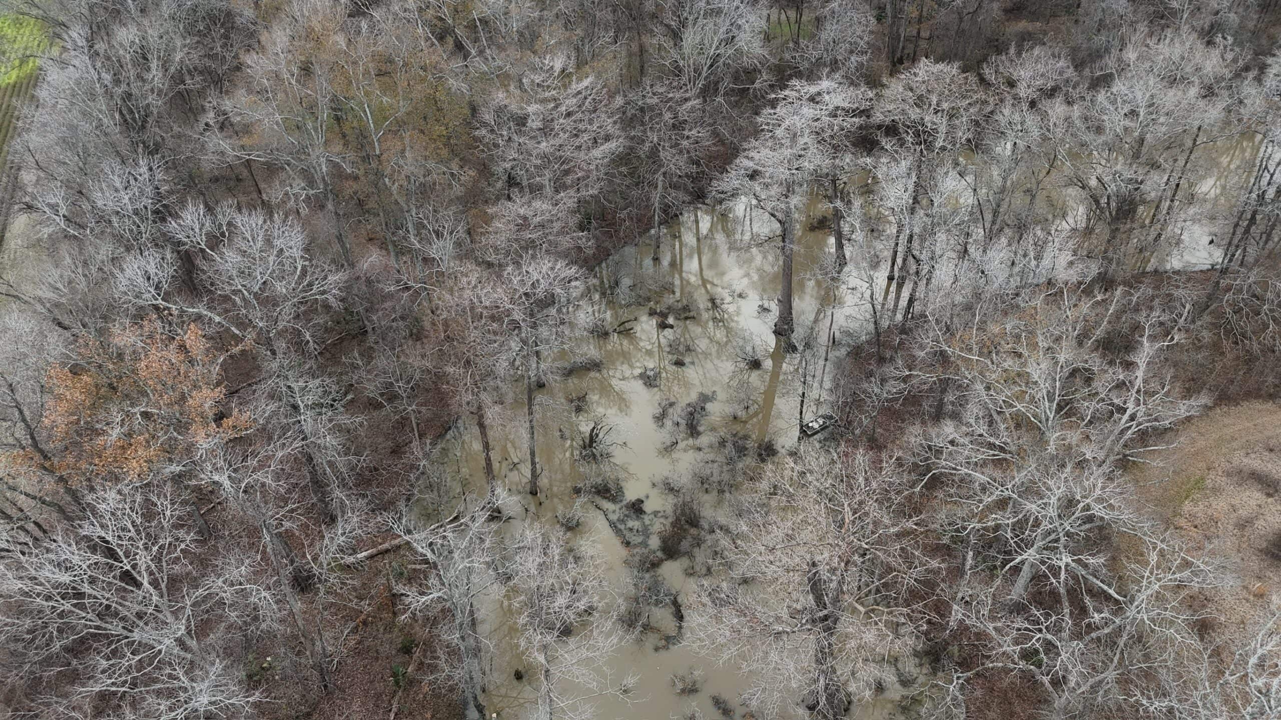 LA Delta Duck and Deer Hunting Property with a Camp