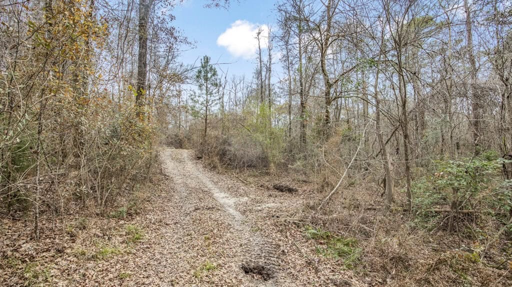 50 Acres TurnKey Hunting Camp SW Wilkinson County, MS