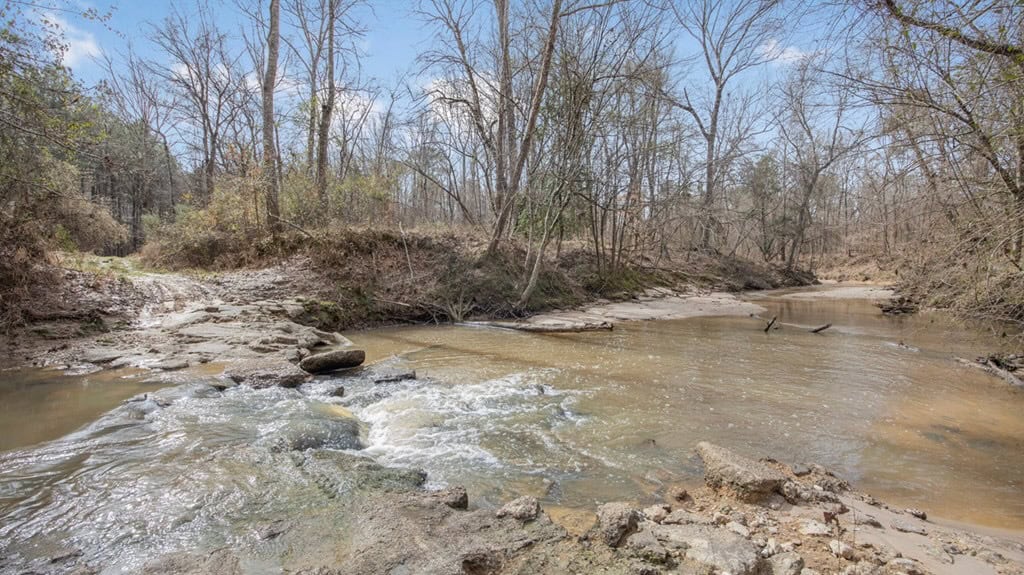 70 Acres Hunting Land Bordering Homochitto National Forest