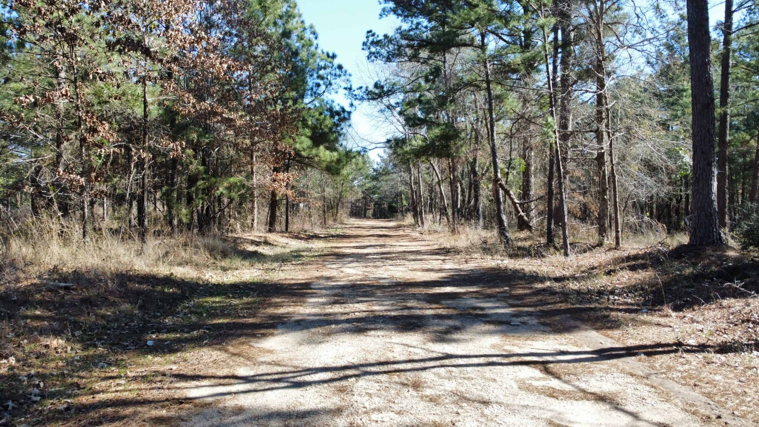 East TX Hunting Land Near Overton TX Rusk County