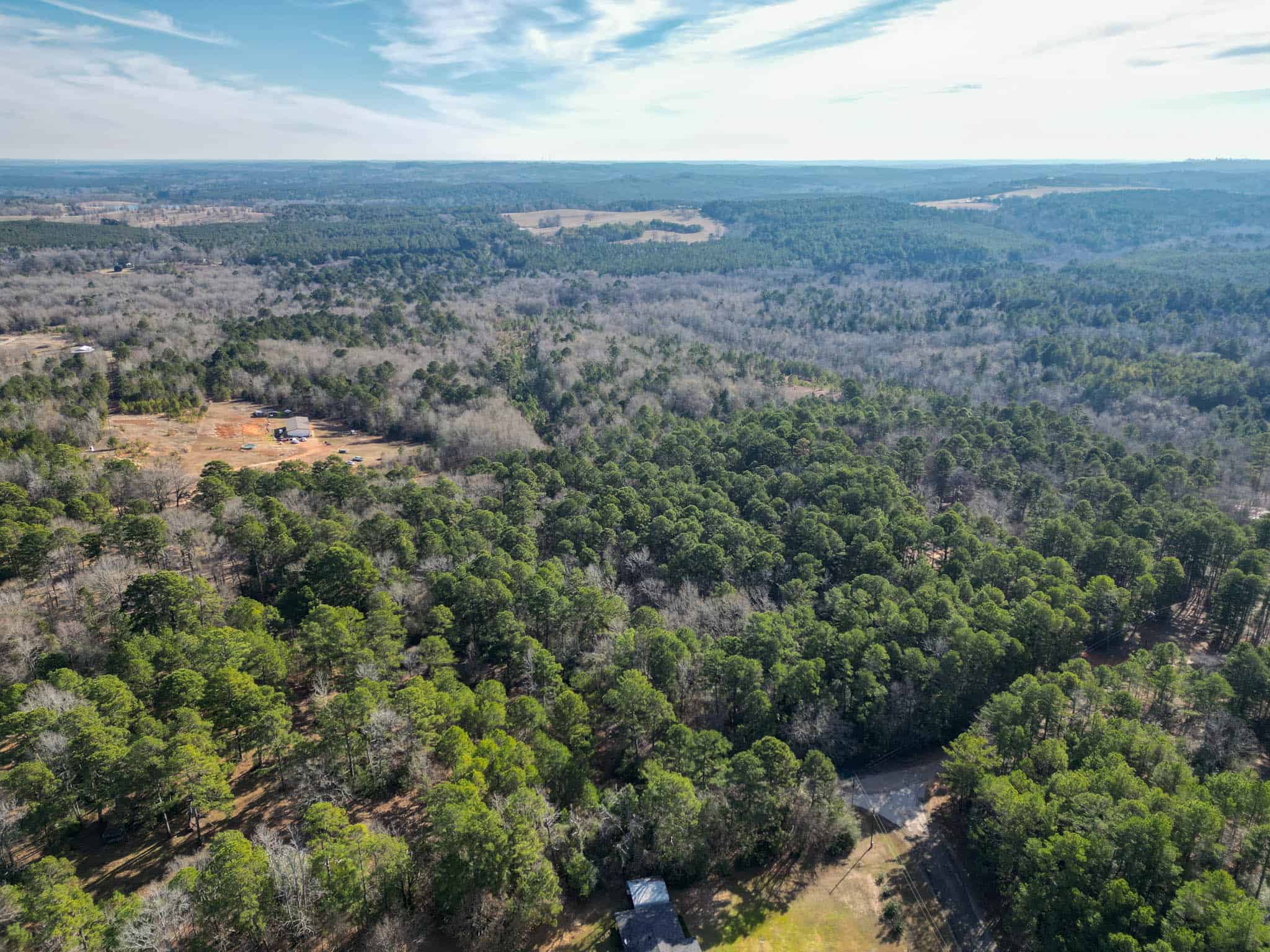 Harrison County, TX Whitetail Paradise