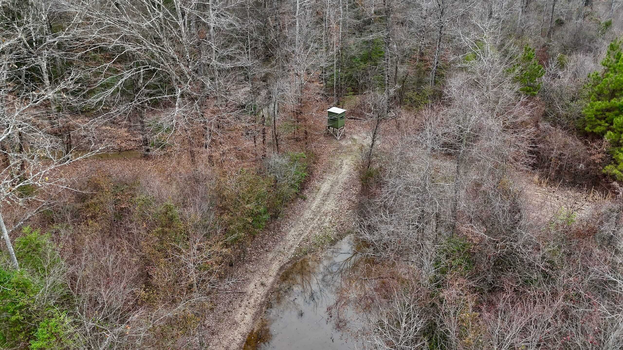 Hunting Property with a Camp and a Great Homesite