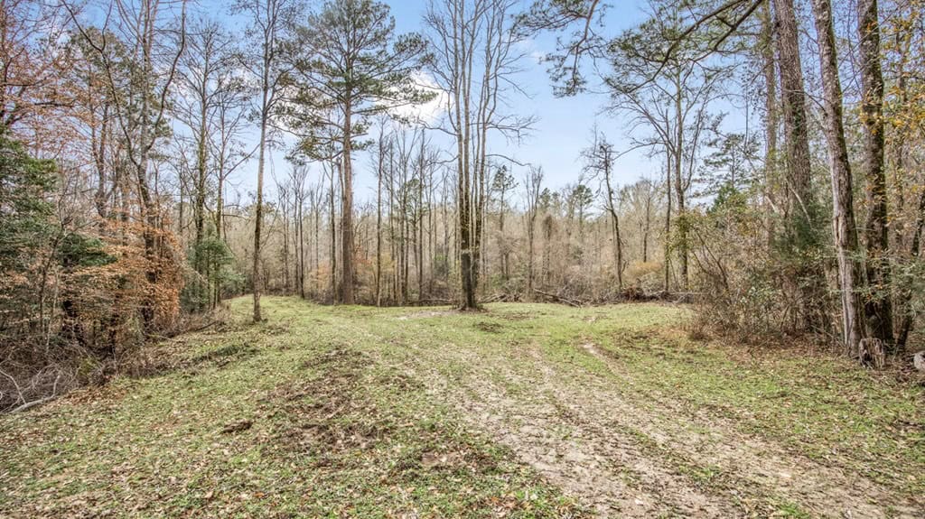 50 Acres TurnKey Hunting Camp SW Wilkinson County, MS