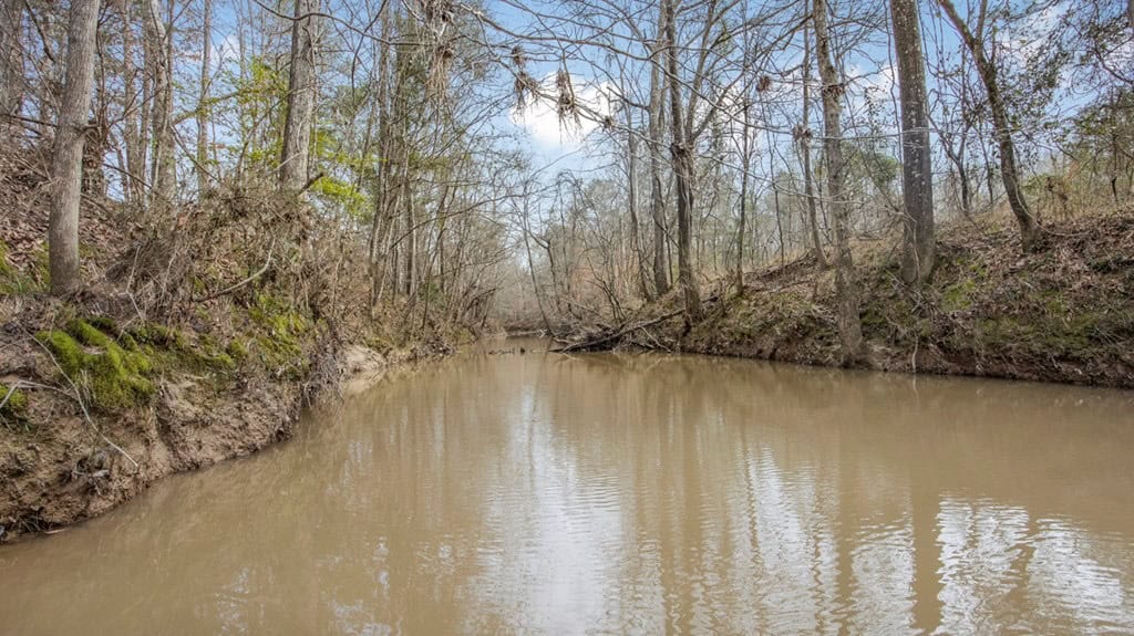 70 Acres Hunting Land Bordering Homochitto National Forest