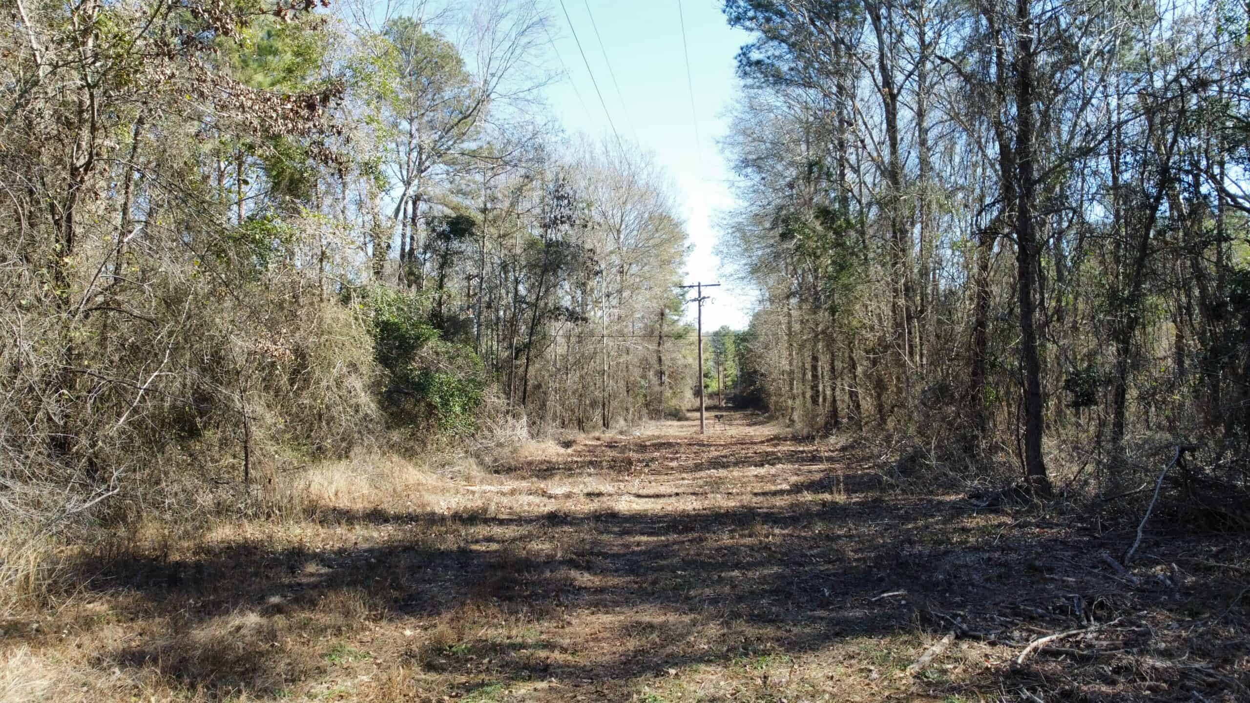 East TX Hunting Land Near Overton TX Rusk County