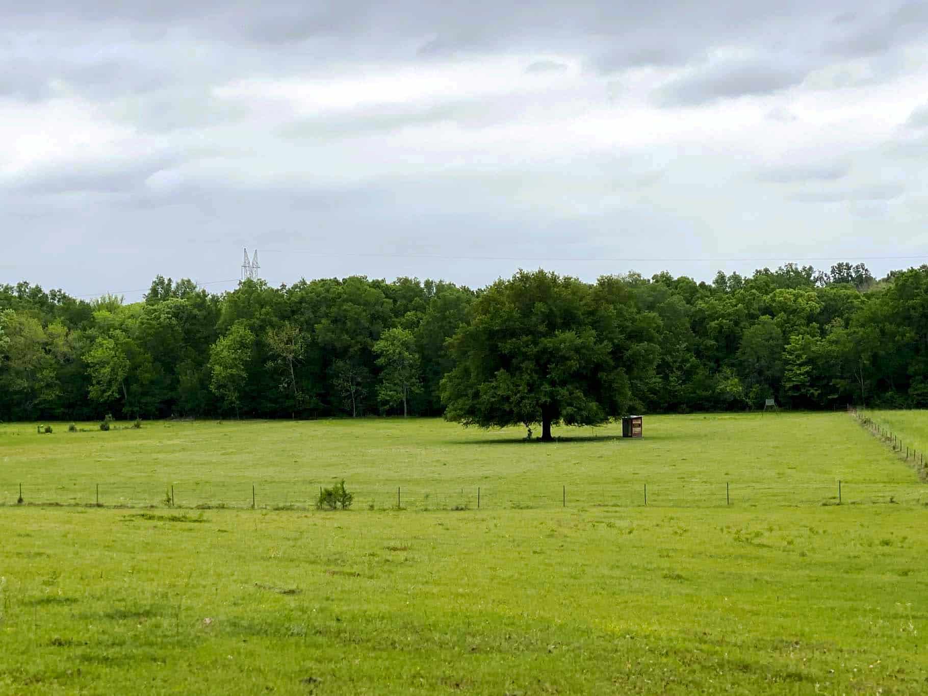 Lindale Texas Recreational Ranch Land for Sale East of Dallas