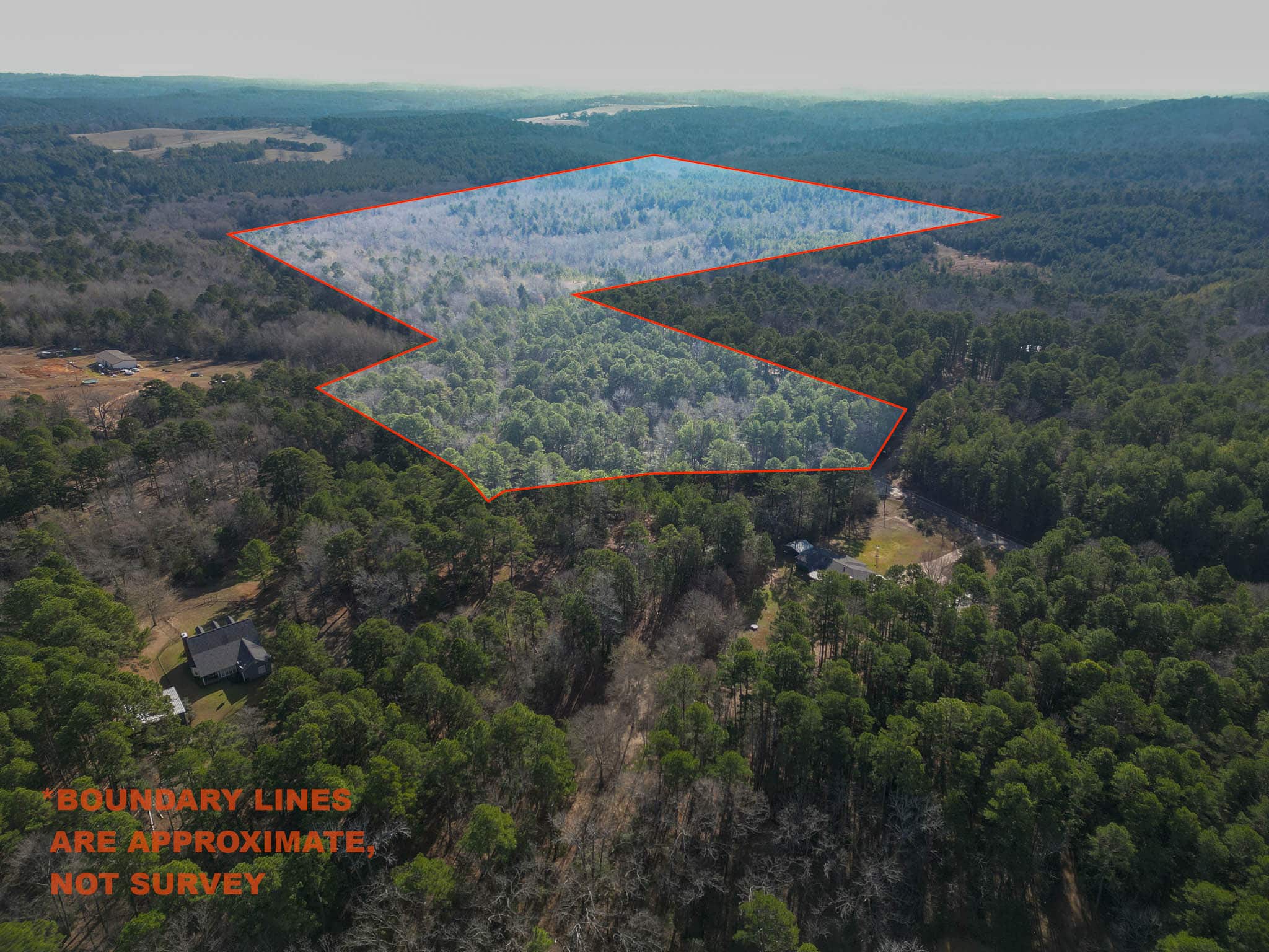 Harrison County, TX Whitetail Paradise