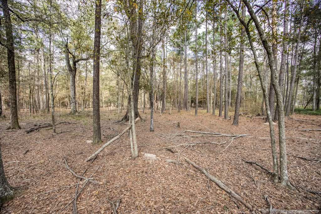 High Fence Hunting, 3 Lodges, 6 Cabins, Acadia Parish, LA
