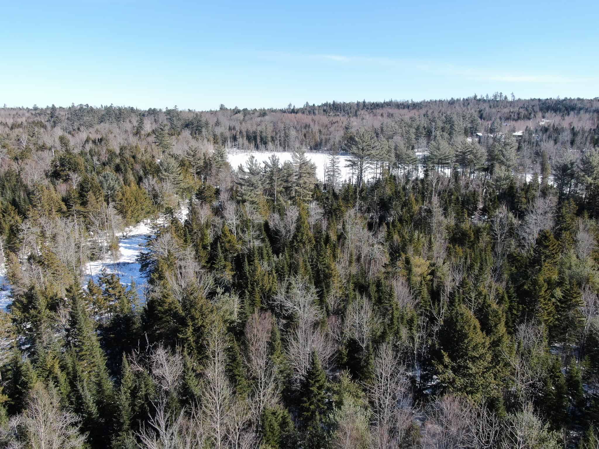 32 Acres with Off-Grid Cabin