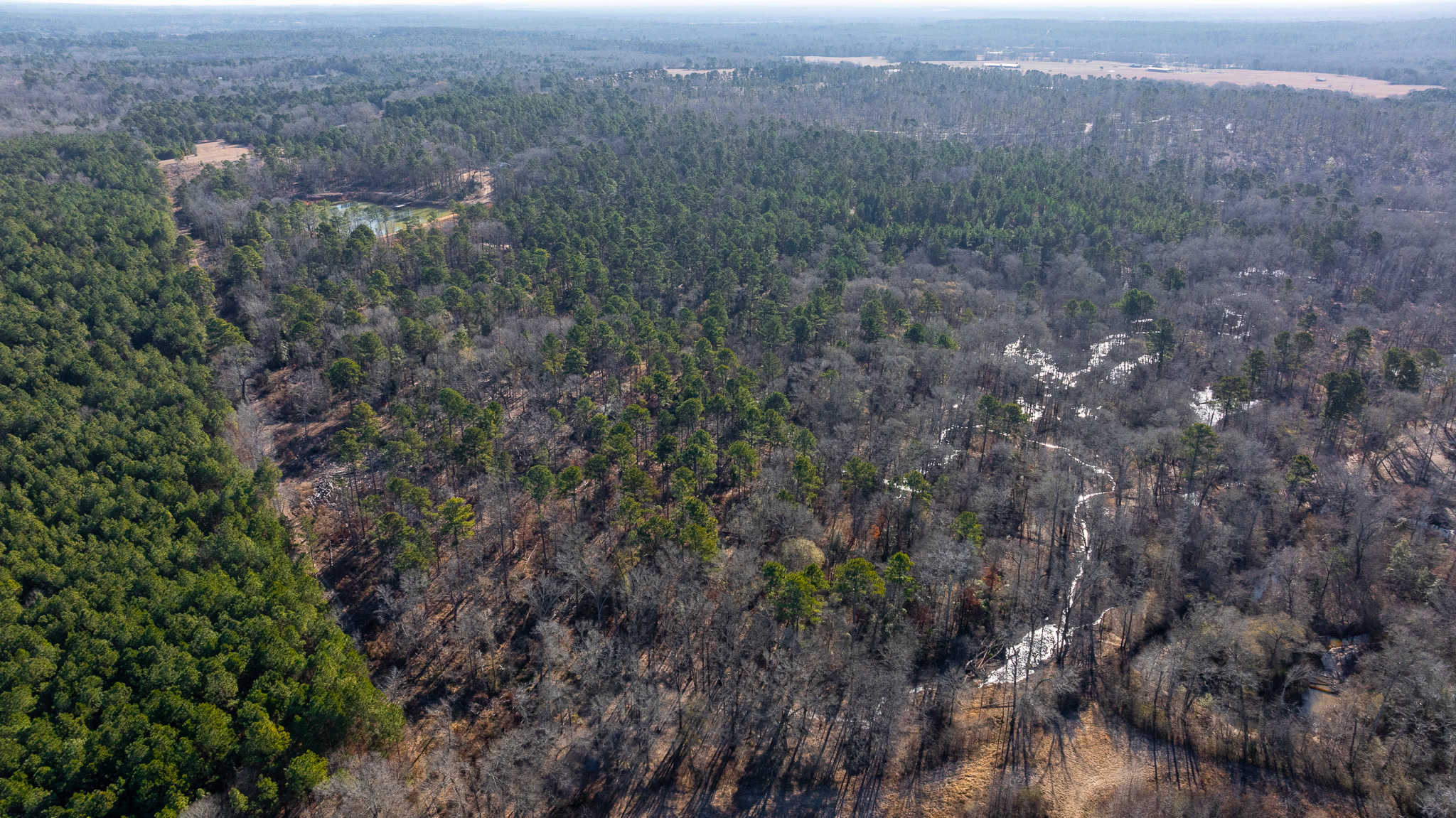 Texas Hunting Land with Barndo near Diana East of Dallas
