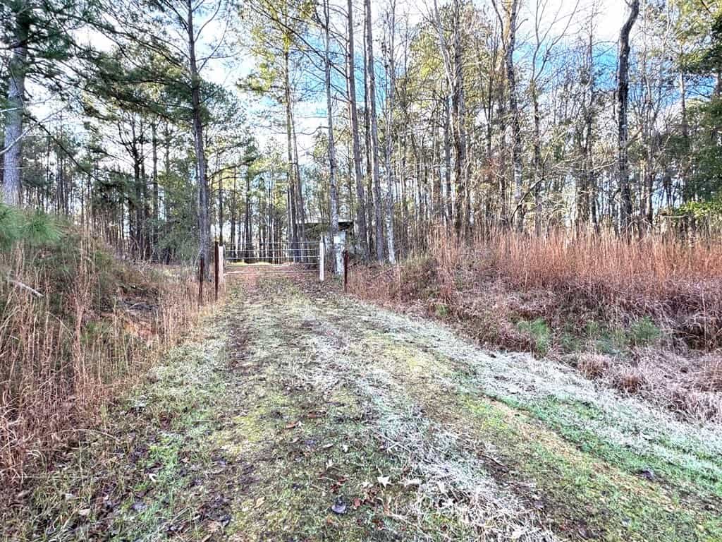 Great Small Hunting Tract or Homesite in Franklin County, MS
