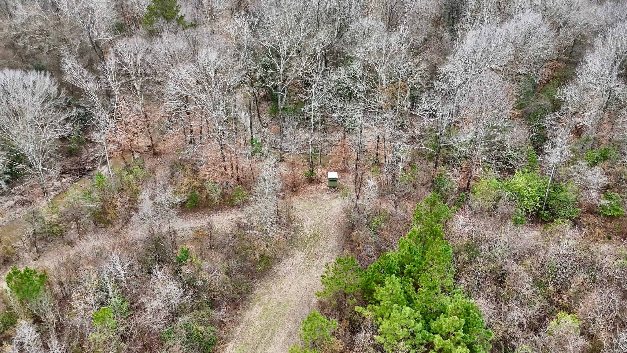 Hunting Property with a Camp and a Great Homesite