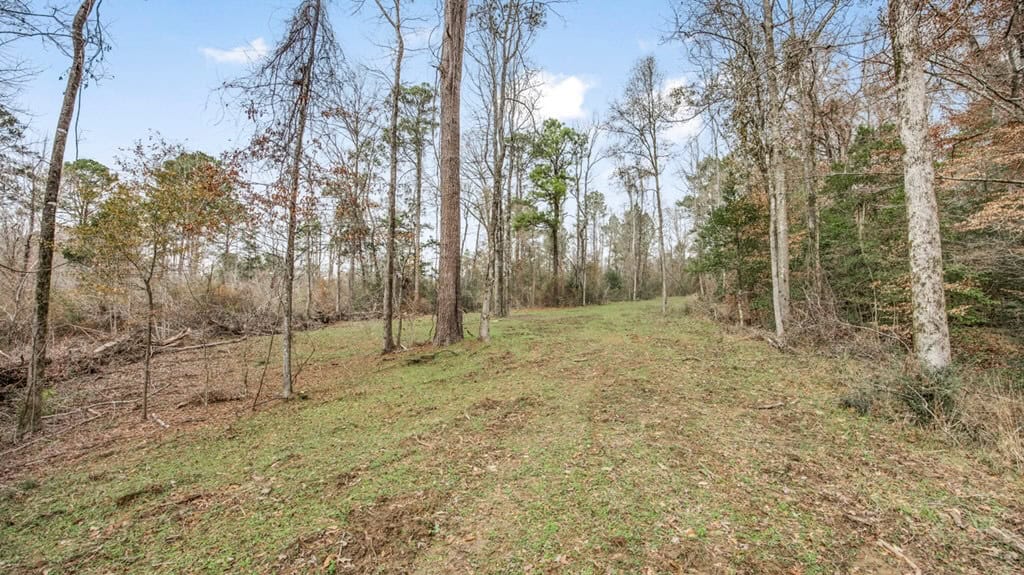 50 Acres TurnKey Hunting Camp SW Wilkinson County, MS