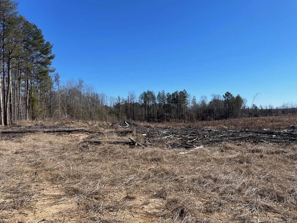 310 Acres Claiborne Hunting Property