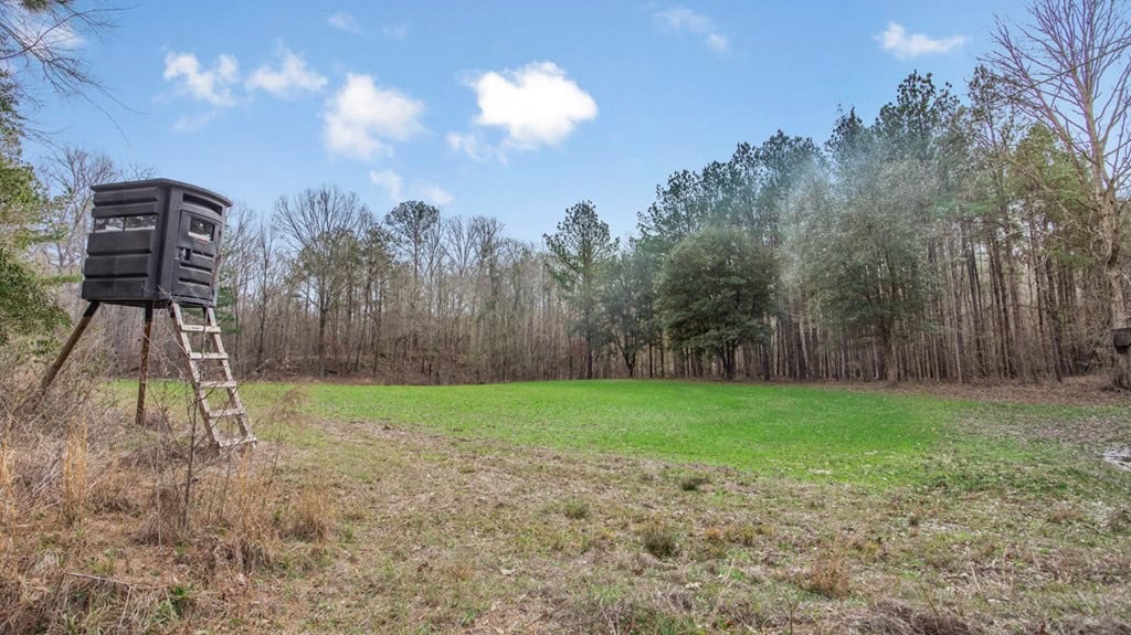 70 Acres Hunting Land Bordering Homochitto National Forest