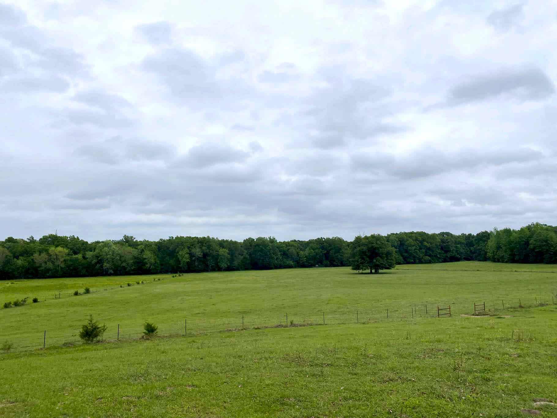 Lindale Texas Recreational Ranch Land for Sale East of Dallas