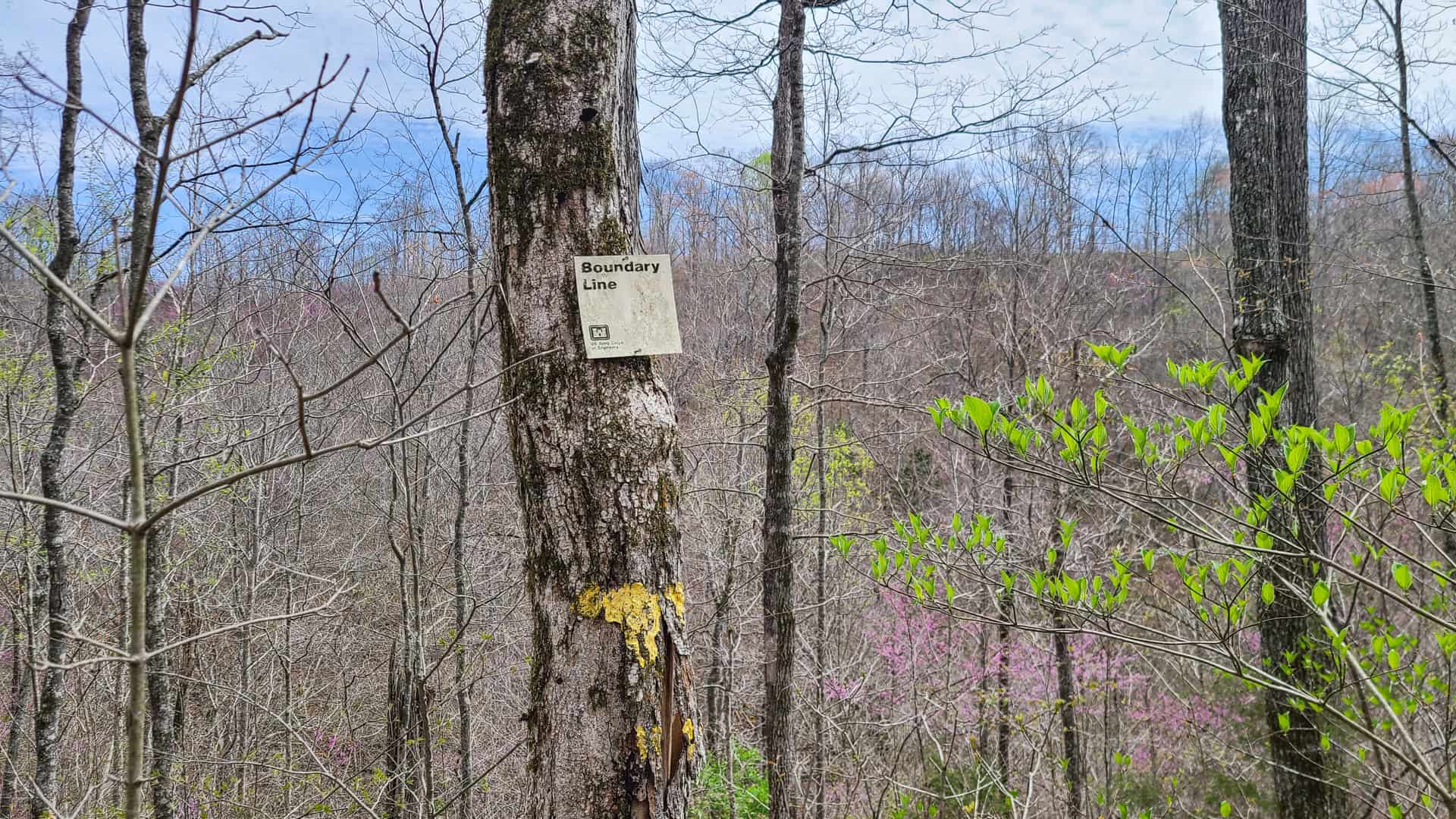 93 acre hunting property with home and large shop adjoining Lake Cumberland. Wayne County Kentucky. South Central Kentucky
