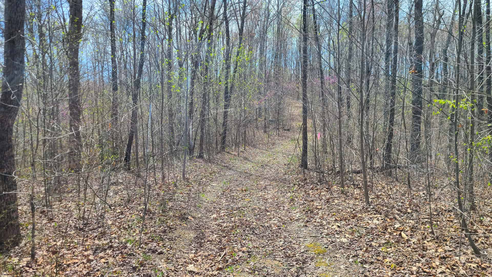 93 acre hunting property with home and large shop adjoining Lake Cumberland. Wayne County Kentucky. South Central Kentucky