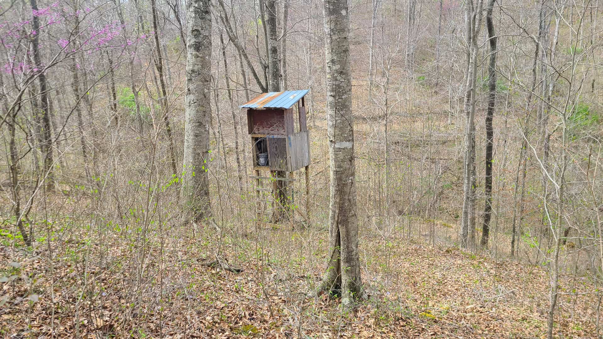 93 acre hunting property with home and large shop adjoining Lake Cumberland. Wayne County Kentucky. South Central Kentucky