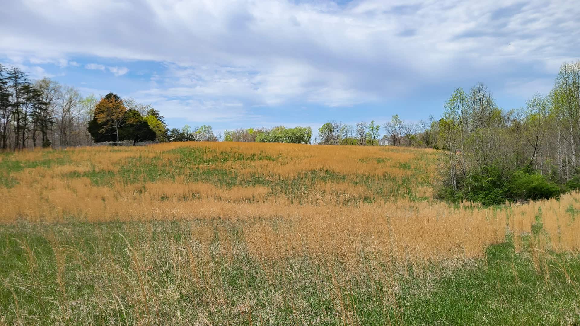 93 acre hunting property with home and large shop adjoining Lake Cumberland. Wayne County Kentucky. South Central Kentucky