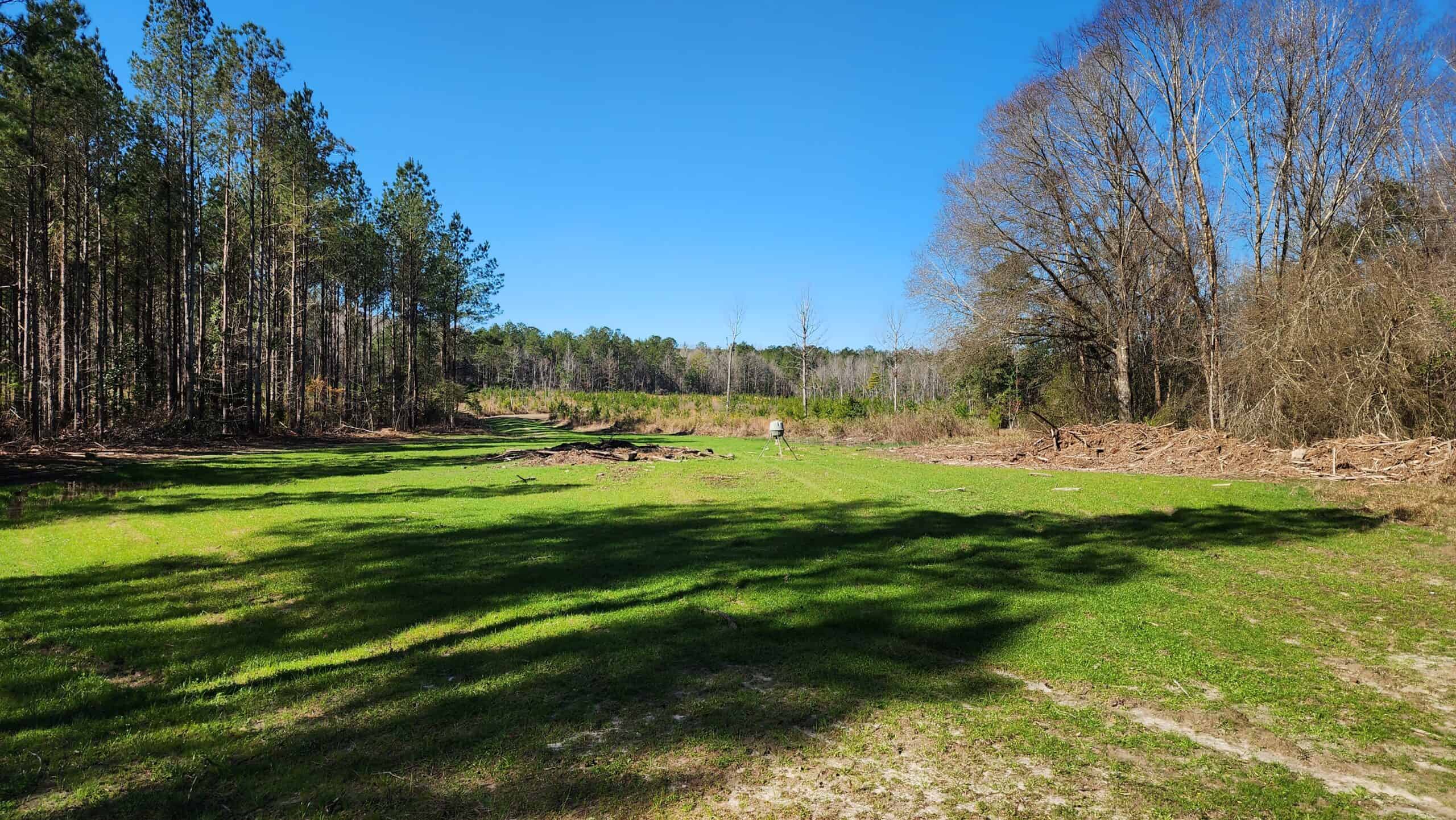 445 Acre Hunting & Timber Tract in Butler County, Alabama