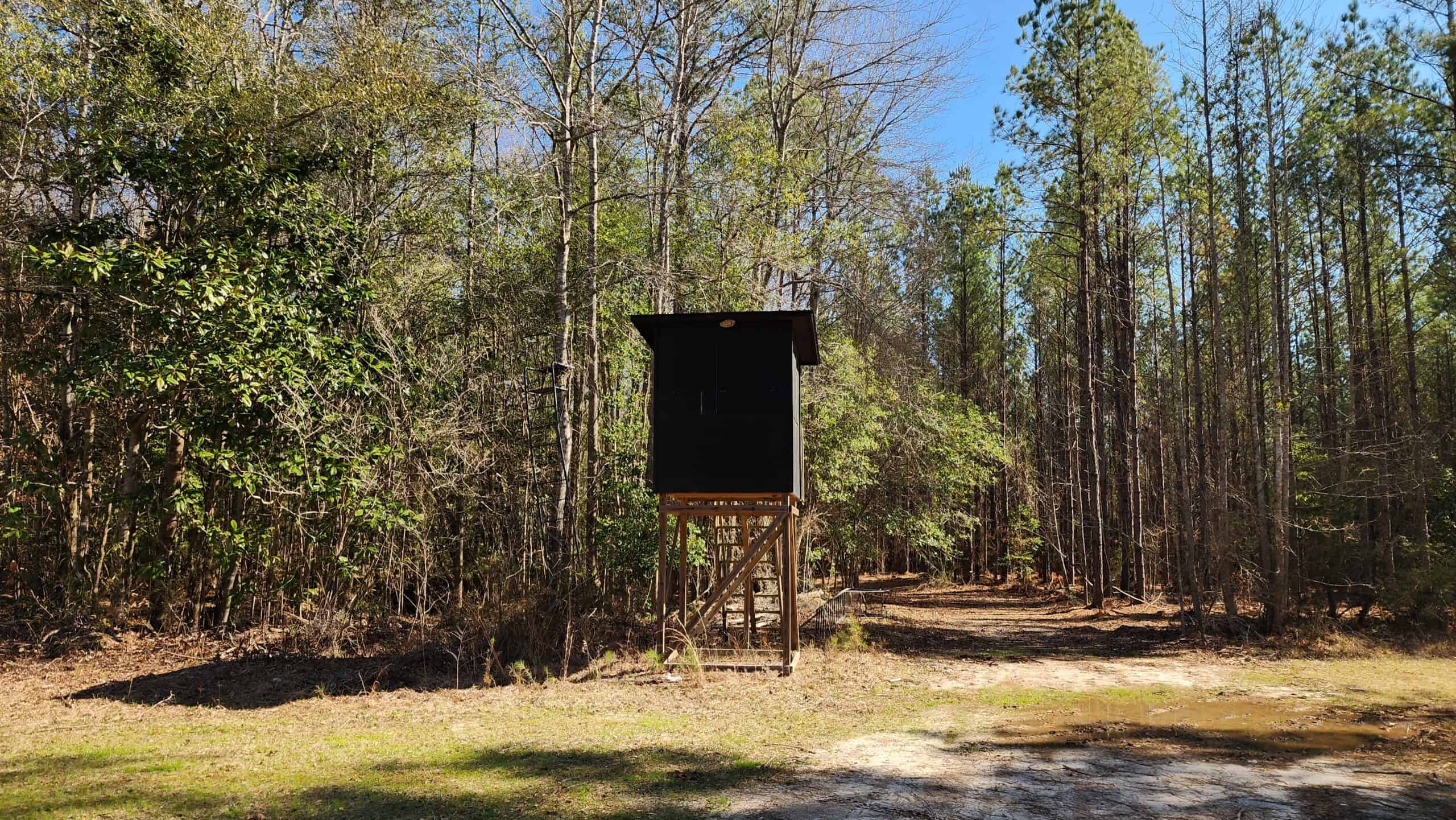 445 Acre Hunting & Timber Tract in Butler County, Alabama