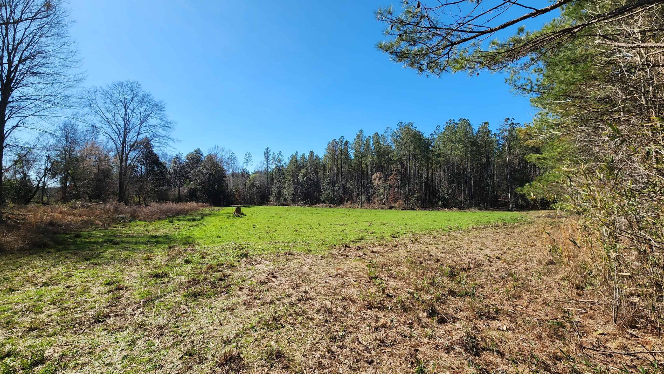 445 Acre Hunting & Timber Tract in Butler County, Alabama