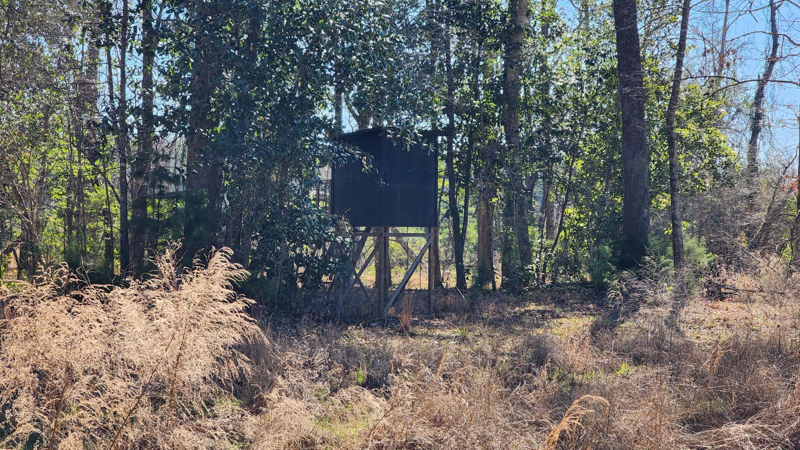 445 Acre Hunting & Timber Tract in Butler County, Alabama