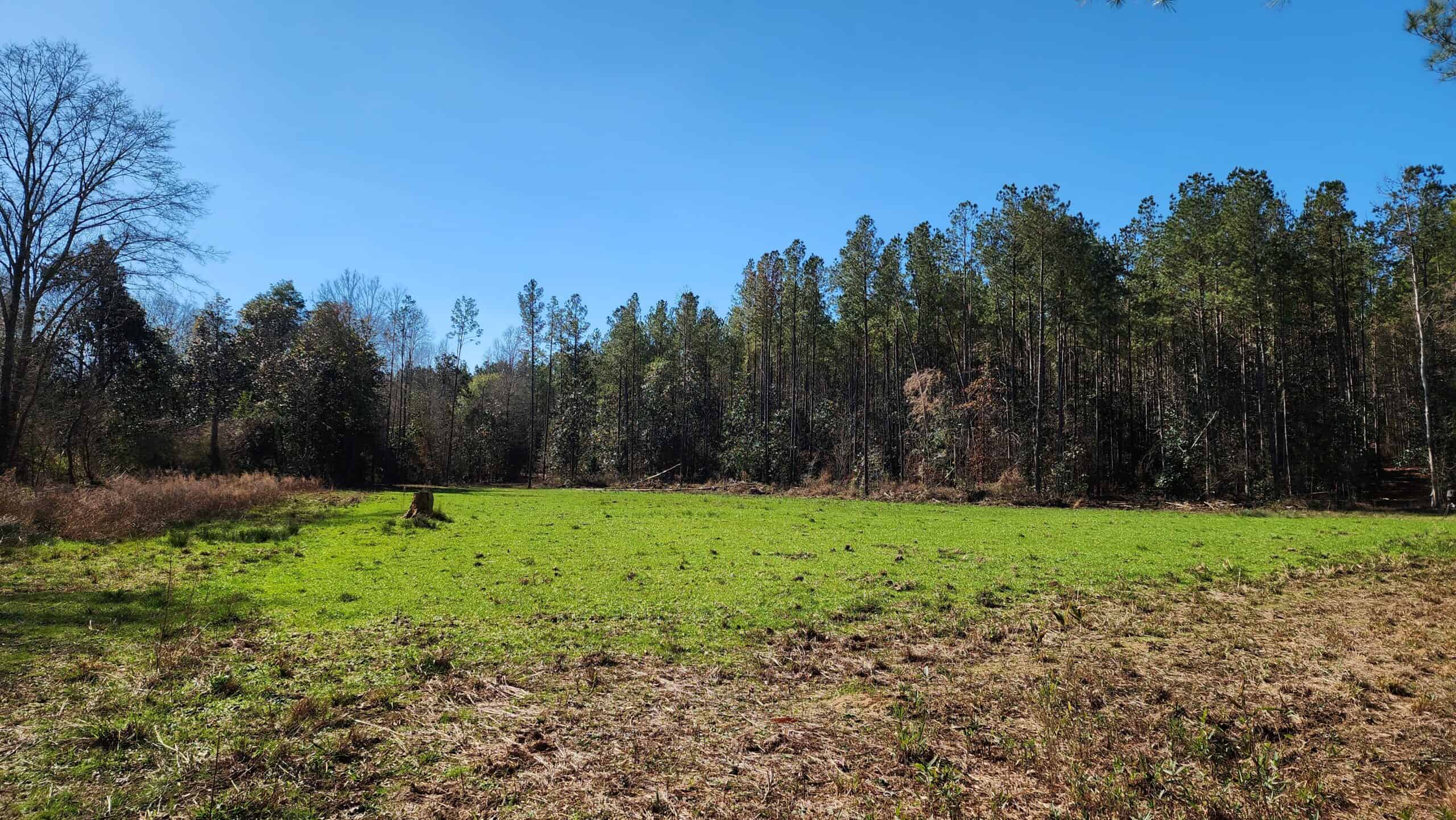445 Acre Hunting & Timber Tract in Butler County, Alabama
