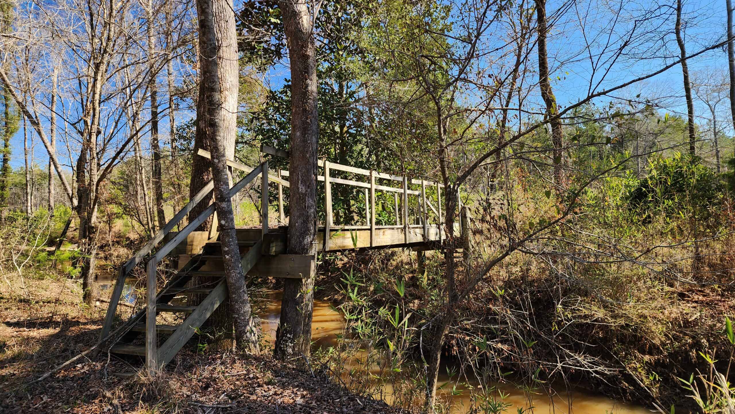 445 Acre Hunting & Timber Tract in Butler County, Alabama