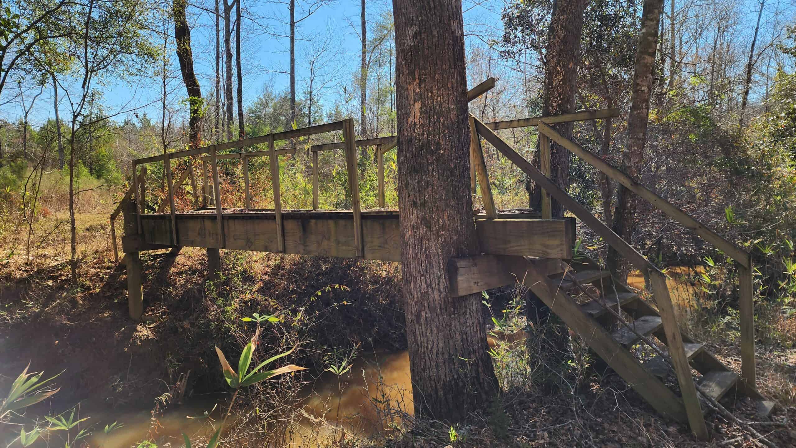 445 Acre Hunting & Timber Tract in Butler County, Alabama