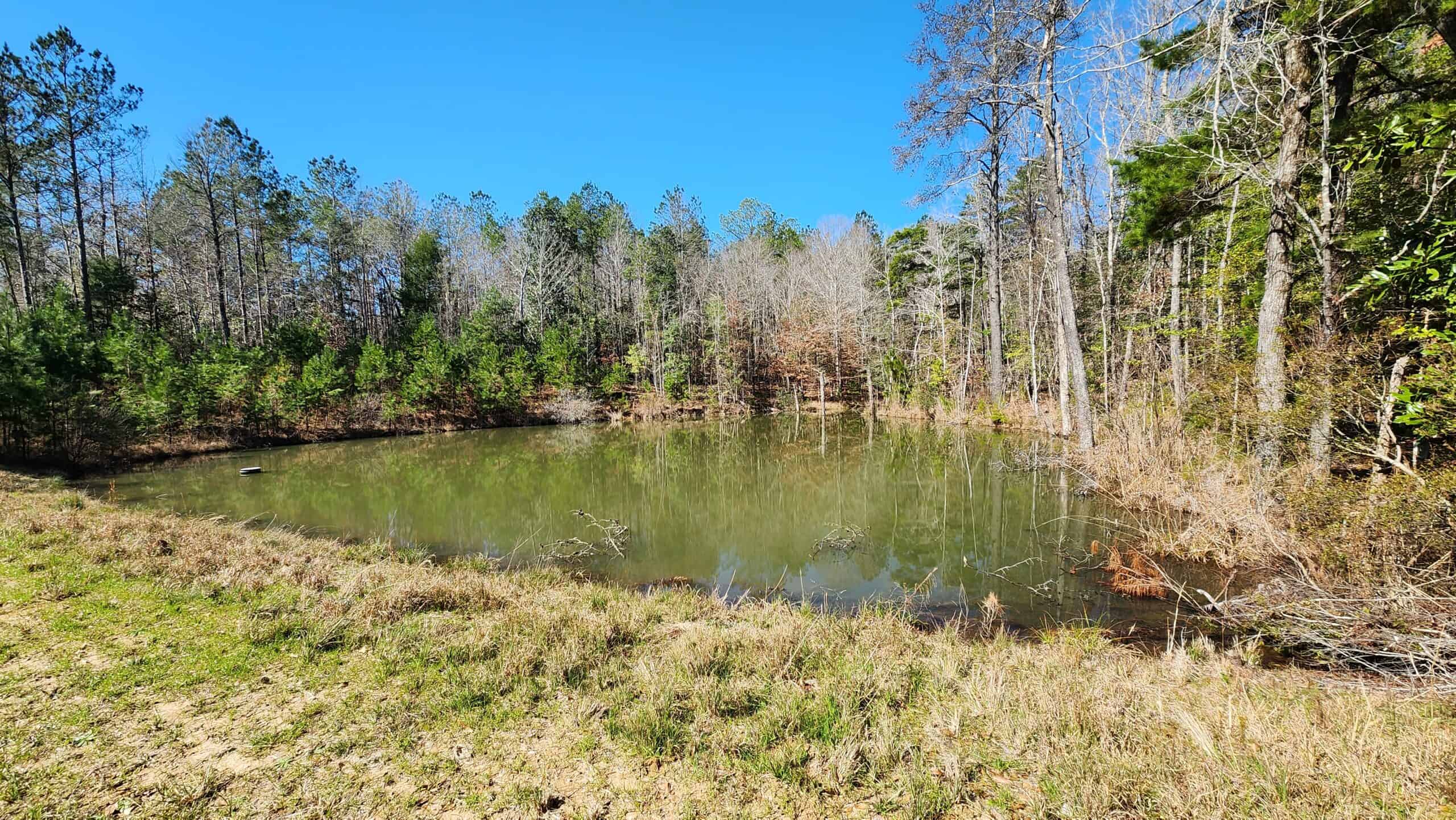 445 Acre Hunting & Timber Tract in Butler County, Alabama