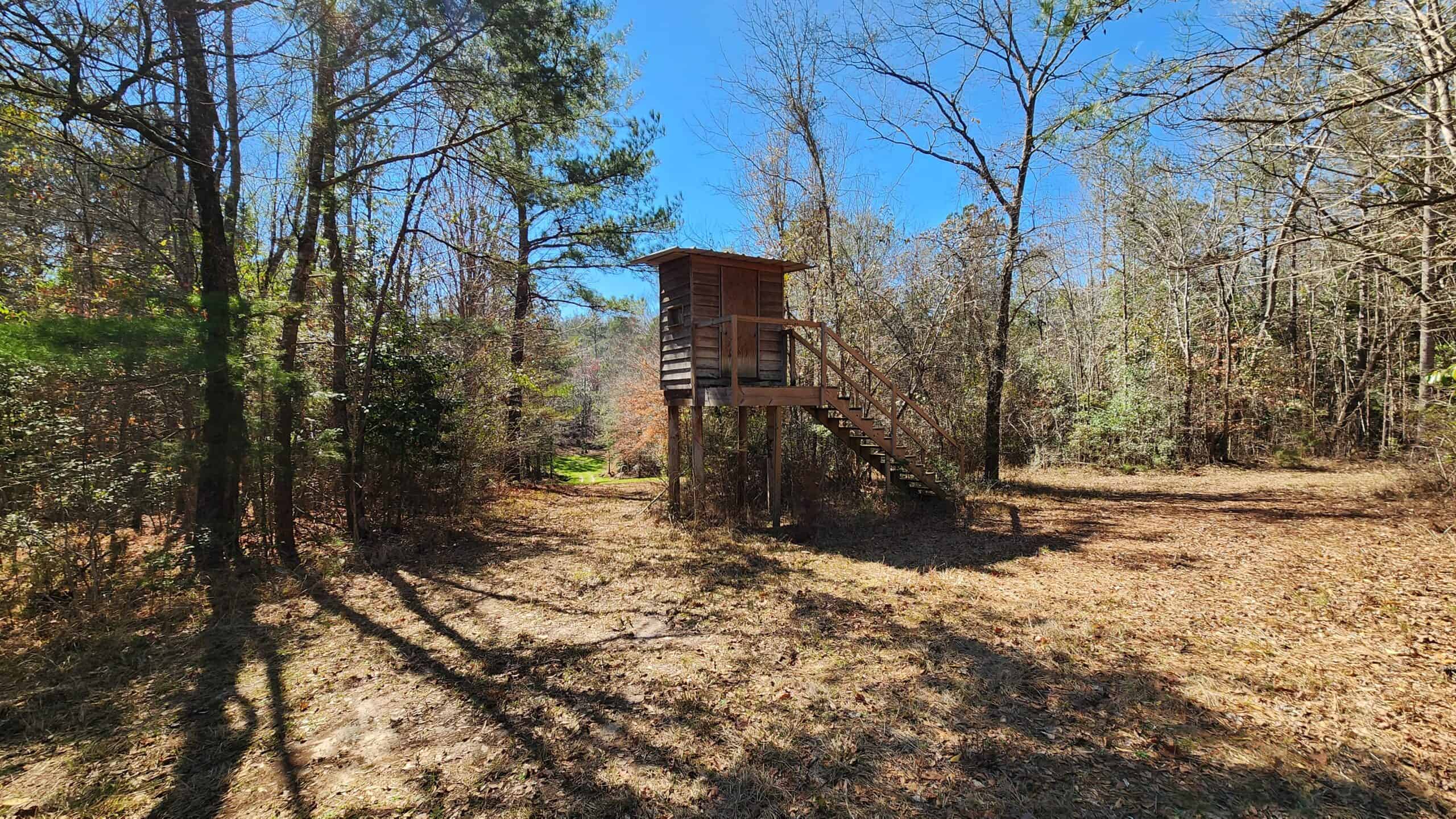 445 Acre Hunting & Timber Tract in Butler County, Alabama