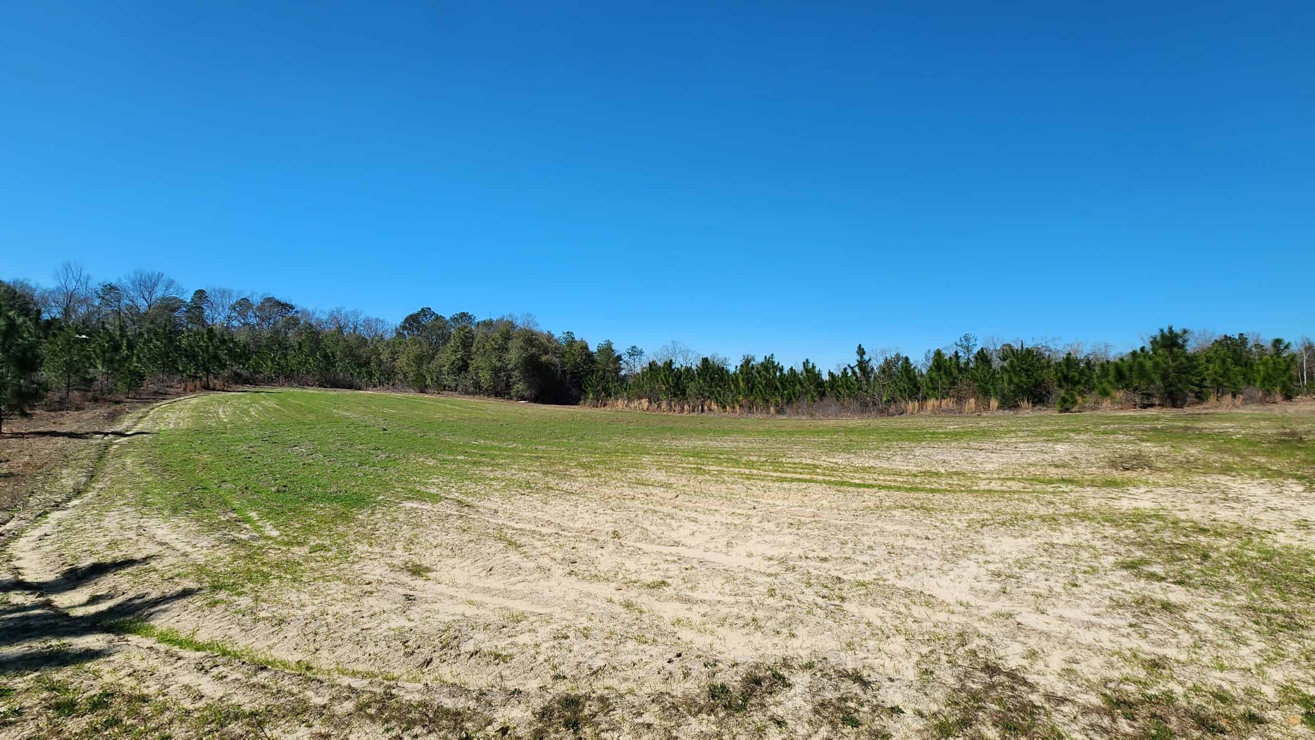 445 Acre Hunting & Timber Tract in Butler County, Alabama
