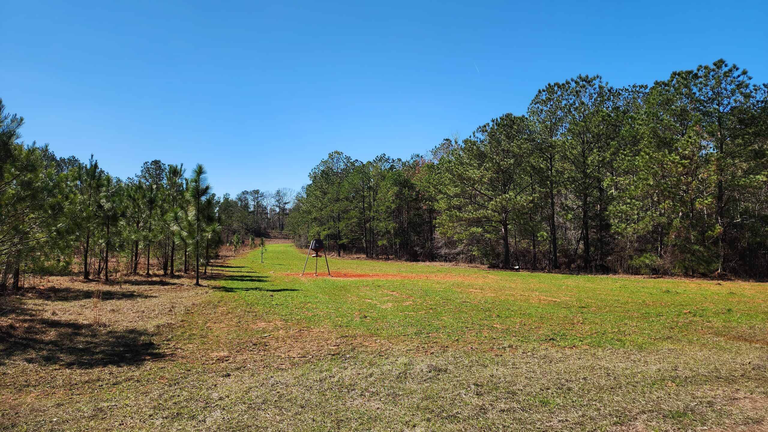 445 Acre Hunting & Timber Tract in Butler County, Alabama