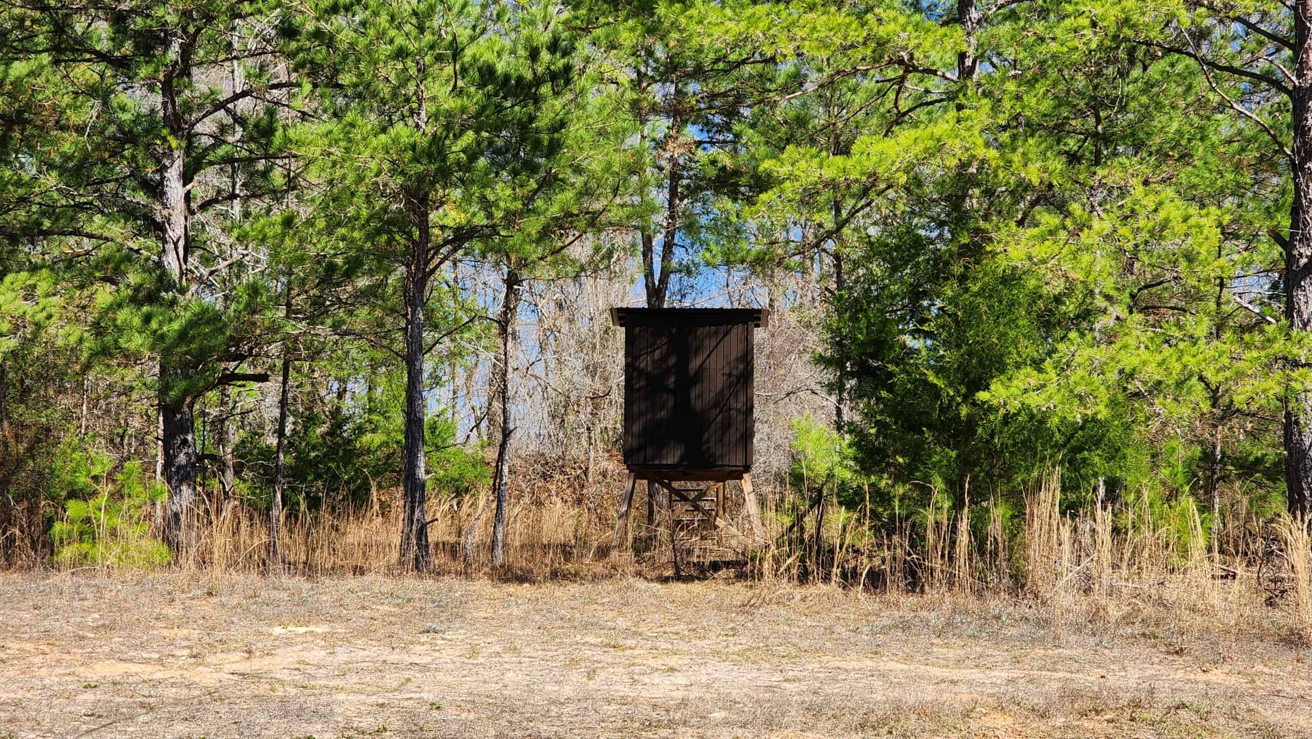 445 Acre Hunting & Timber Tract in Butler County, Alabama