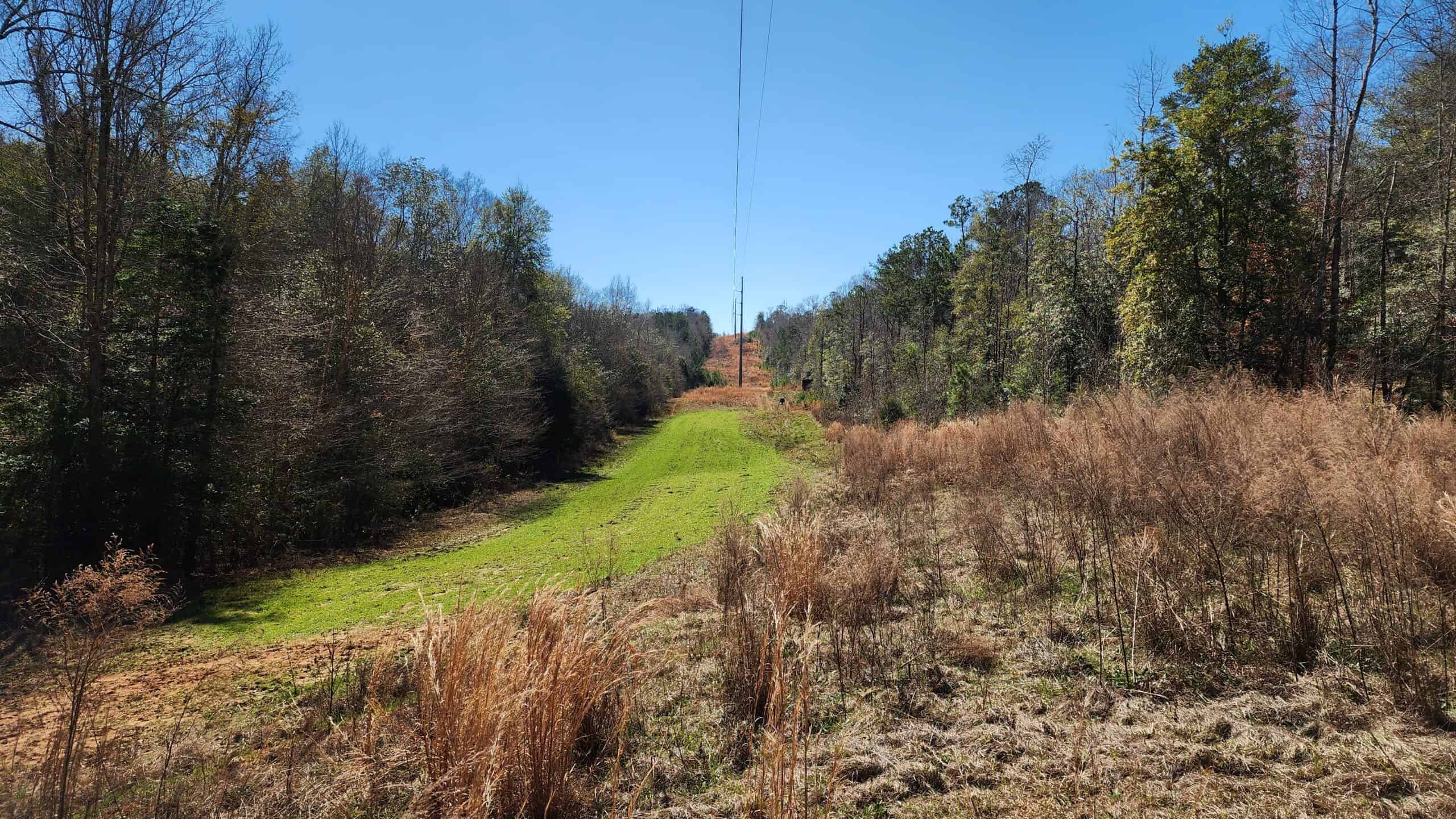 445 Acre Hunting & Timber Tract in Butler County, Alabama