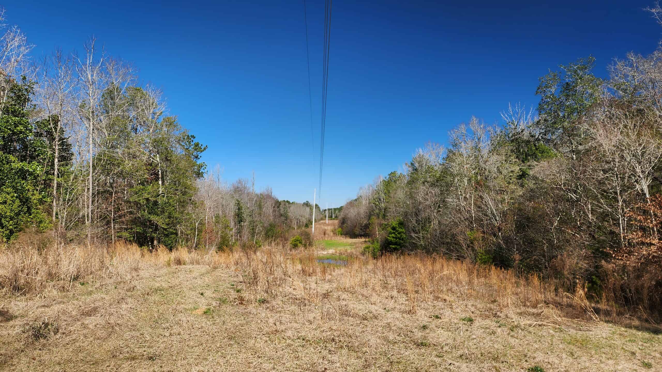 445 Acre Hunting & Timber Tract in Butler County, Alabama