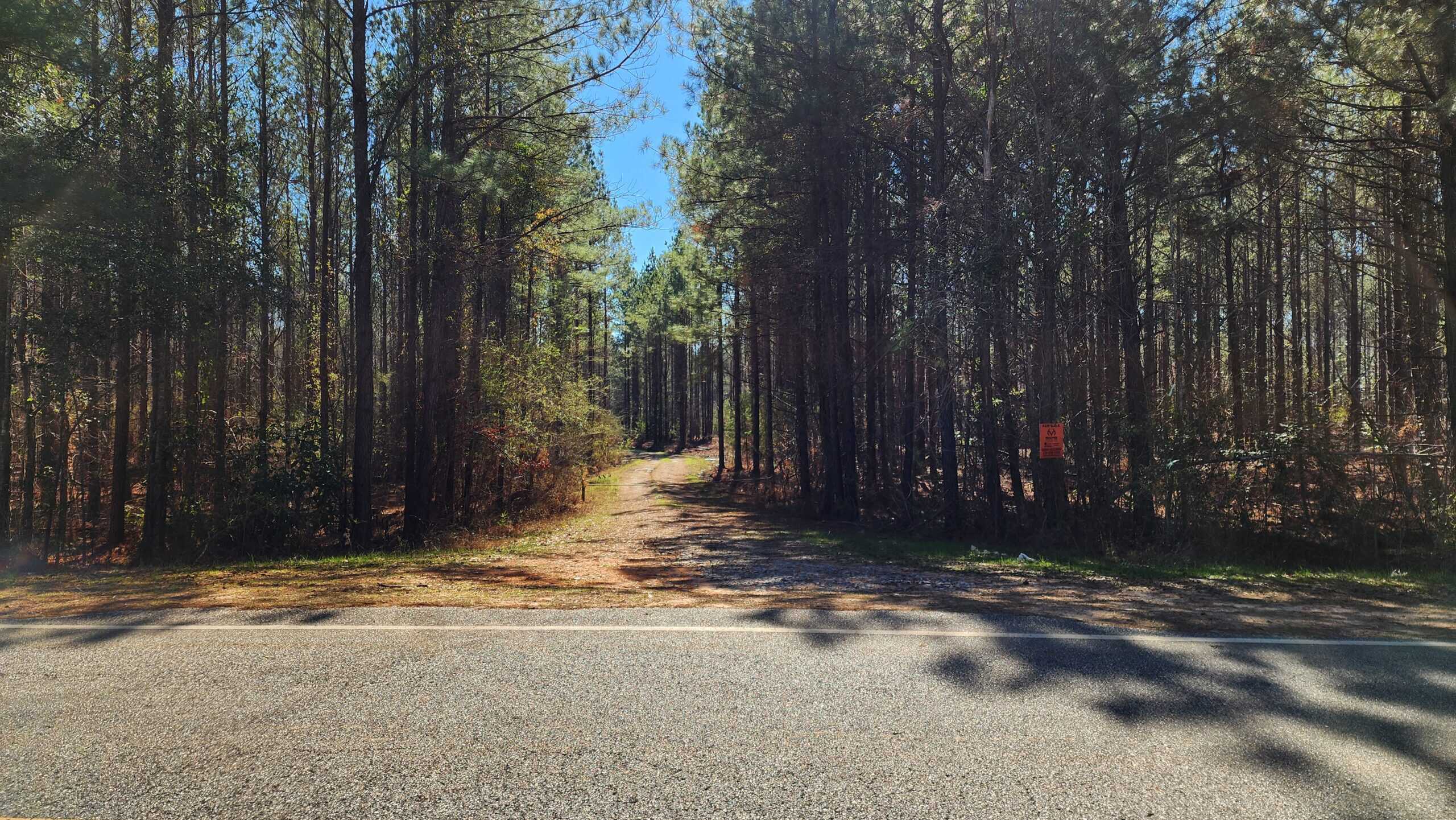 445 Acre Hunting & Timber Tract in Butler County, Alabama