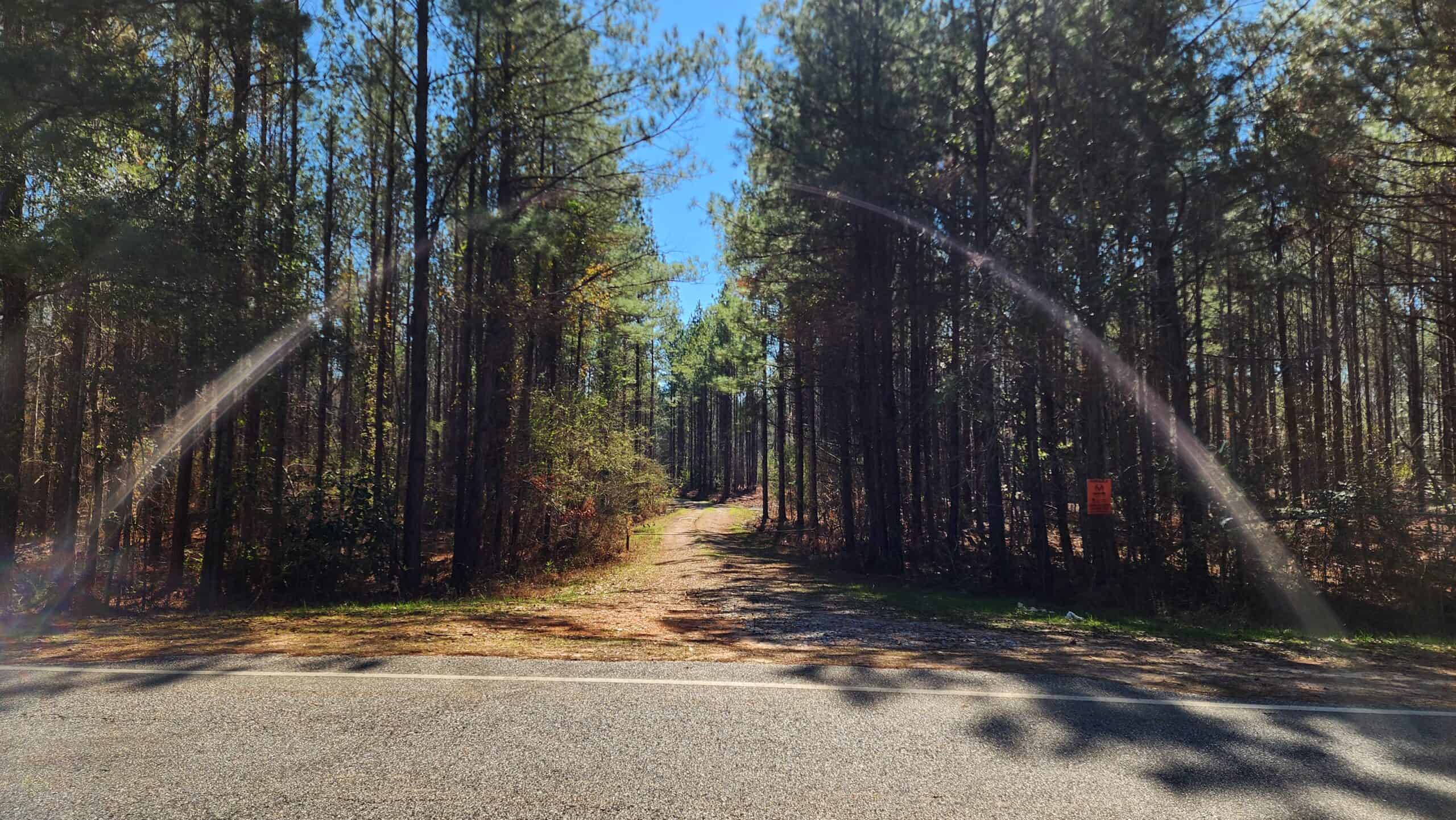 445 Acre Hunting & Timber Tract in Butler County, Alabama