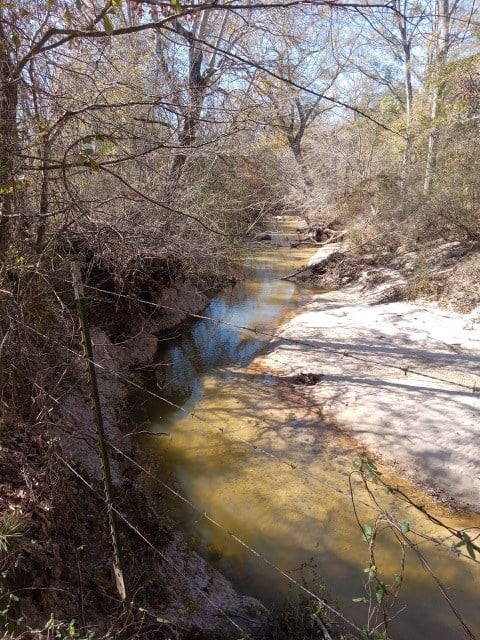 206 Acres on the Homochitto River Franklin County Mississippi