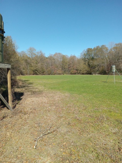206 Acres on the Homochitto River Franklin County Mississippi