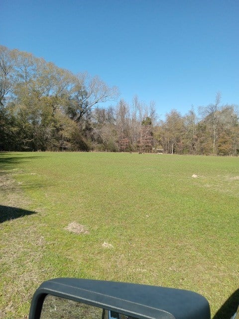 206 Acres on the Homochitto River Franklin County Mississippi