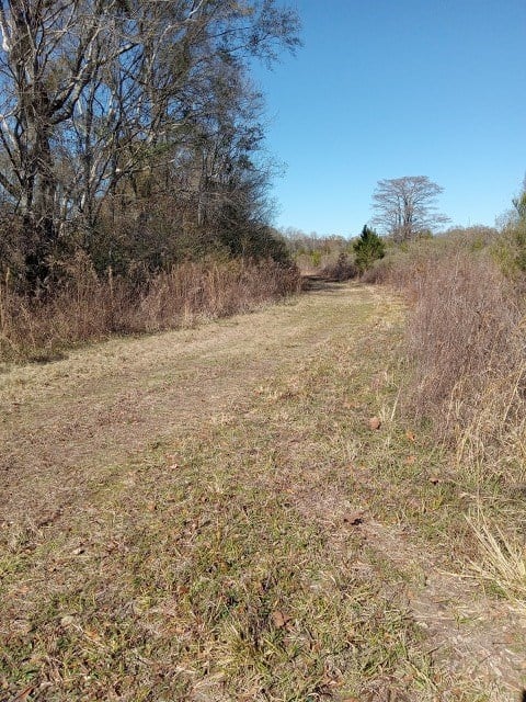 206 Acres on the Homochitto River Franklin County Mississippi